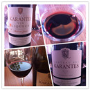 納新法國(guó)西班牙酒莊考察學(xué)習(xí)之旅（6）---- 品酒篇