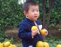 本周六11月9日納新邀您一起自駕摘蜜桔