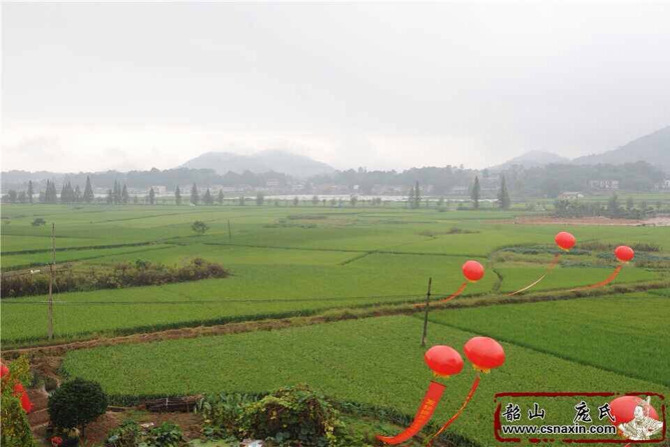 革命紀(jì)念地韶山龐氏宗祠原址重建落成紀(jì)實(shí)——雨中石羊