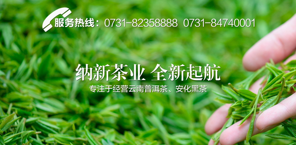【納新茶業(yè) 揚(yáng)帆起航】