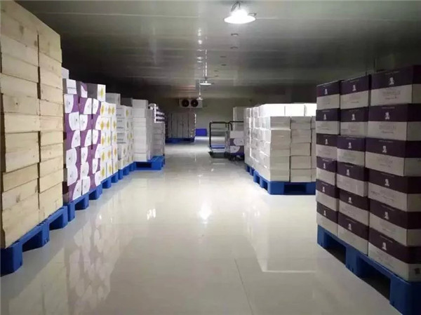 【資訊】納新（長沙）倉儲中心建設于4月17日全面竣工