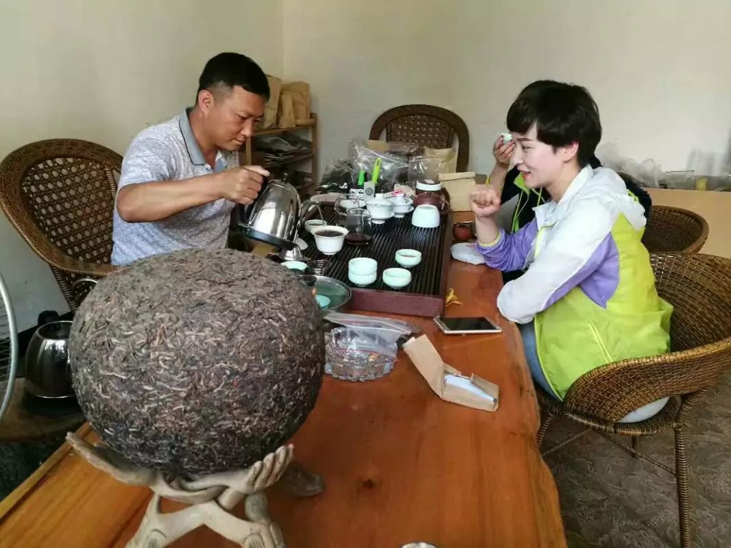 【2017納新云南茶山行】尋找新寶貝