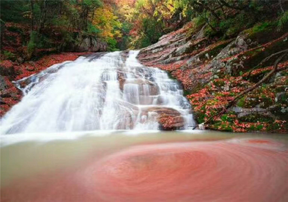 2018納新賞秋記 —— 去尋找北方的晚秋