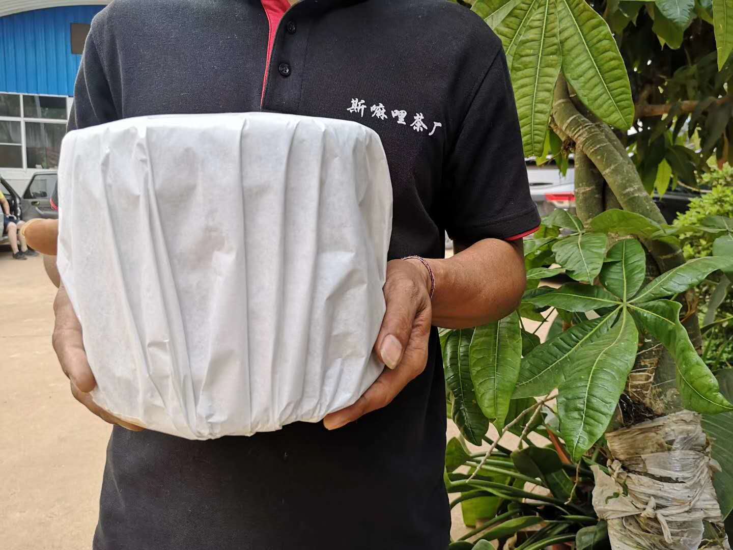 2020納新云南茶山行——推薦茶品納新“口糧一號(hào)”