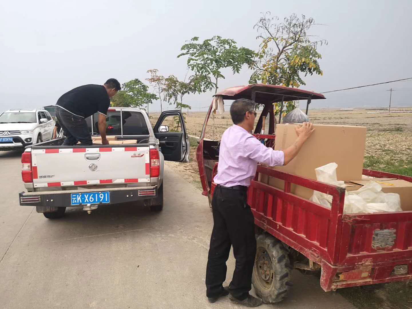 2020納新云南茶山行——廣別大樹(shù)2