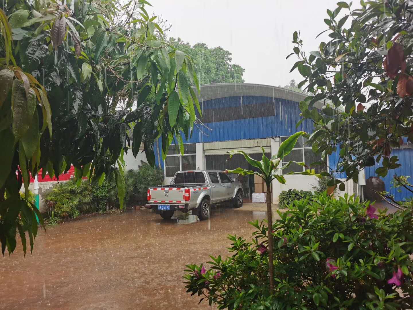 2020納新云南茶山行——勐海下雨了