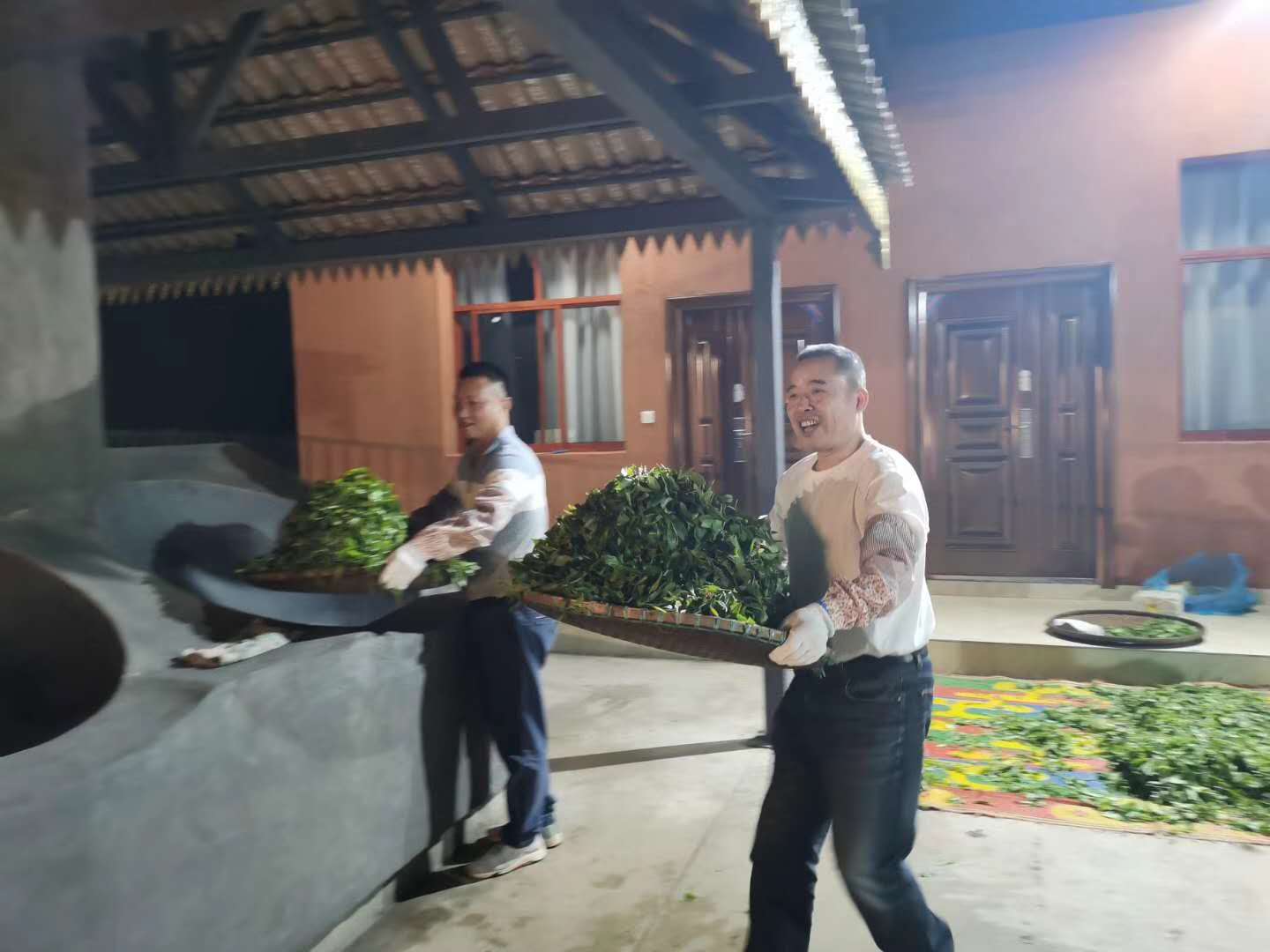 2020納新云南茶山行——勐海制茶學(xué)習(xí)基地已竣工3