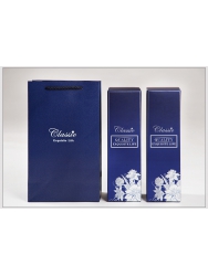 藍(lán)色簡(jiǎn)易雙支禮盒