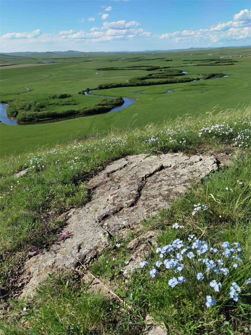 2020年納新草原行 —— 烏拉蓋九曲灣