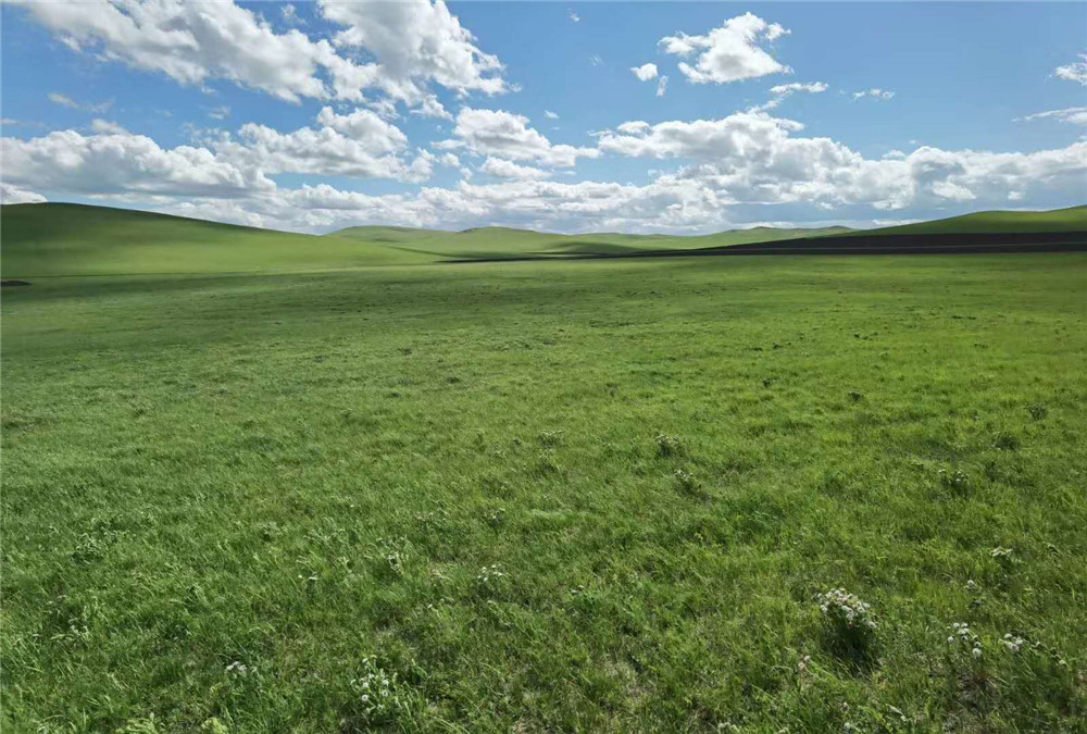 2020年納新草原行 —— 經(jīng)典穿越線路：烏拉蓋芍藥谷——滿都胡寶拉格鎮(zhèn)（三）