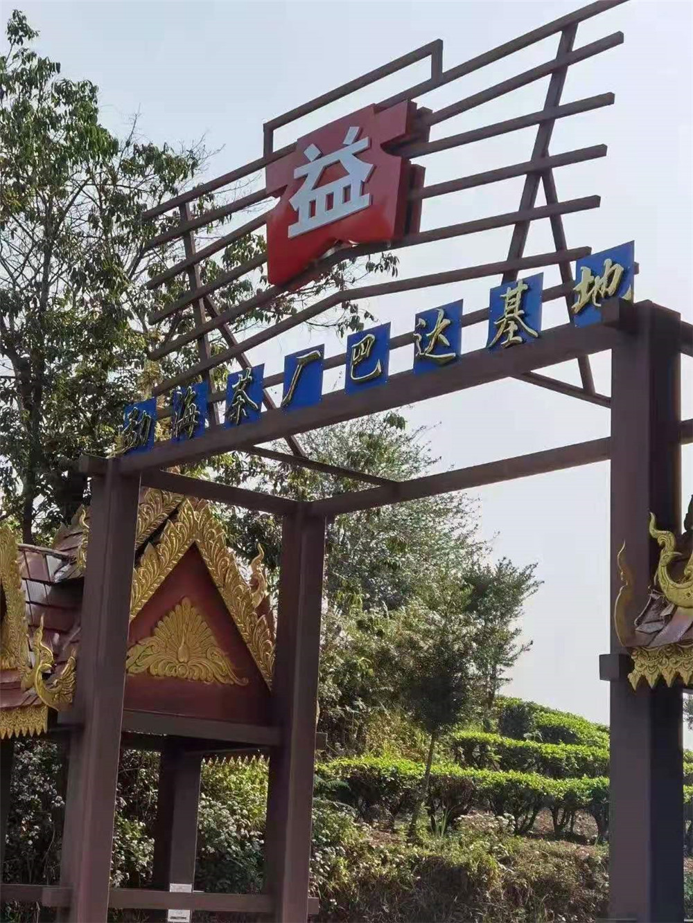 2021納新勐海茶山行 -- 大益勐海茶廠巴達基地