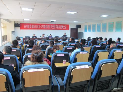 東屯渡街道黨組織集中授牌大會(huì)