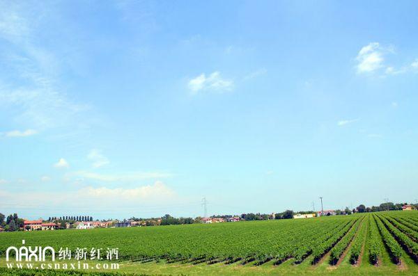 意大利威尼托產(chǎn)區(qū)
