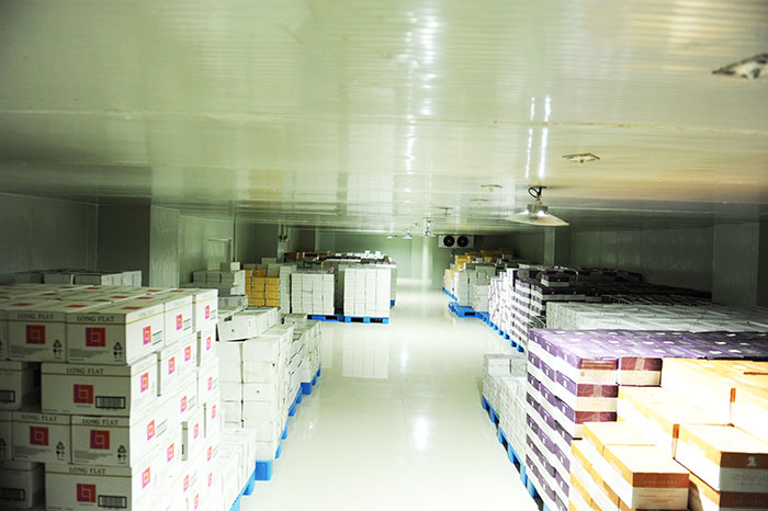 納新紅酒 恒溫酒庫