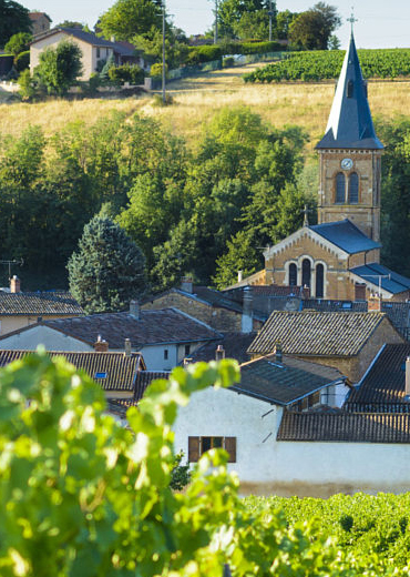 納新進(jìn)口紅酒